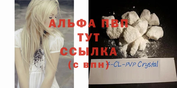 молекула духа Новозыбков