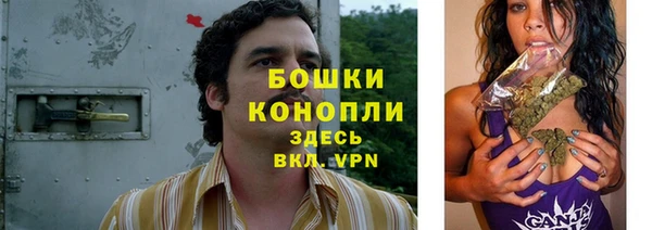молекула духа Новозыбков