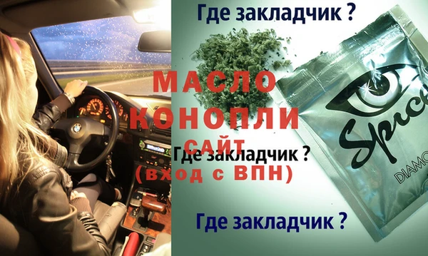 прущие грибы Новодвинск