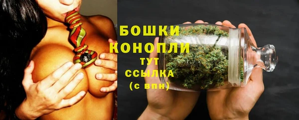 прущие грибы Новодвинск