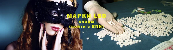 молекула духа Новозыбков