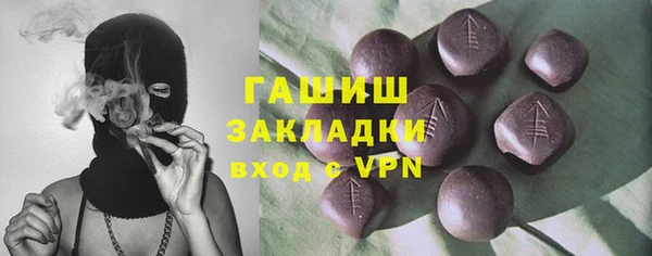 молекула духа Новозыбков