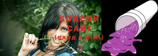 прущие грибы Новодвинск