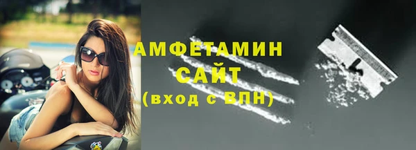 прущие грибы Новодвинск