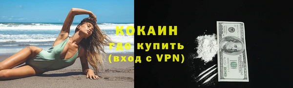 прущие грибы Новодвинск
