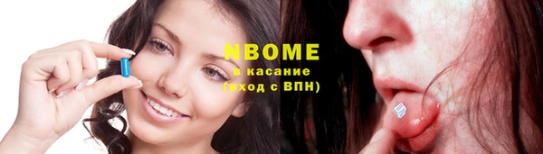 прущие грибы Новодвинск