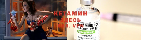 молекула духа Новозыбков