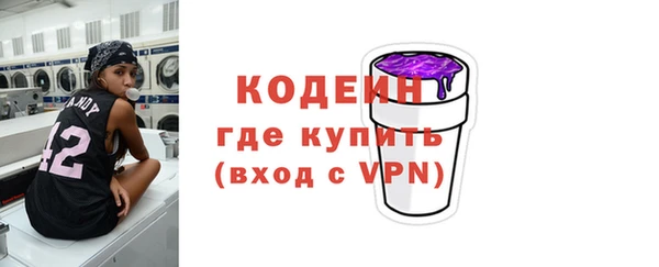 молекула духа Новозыбков