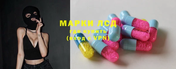 молекула духа Новозыбков