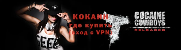 молекула духа Новозыбков