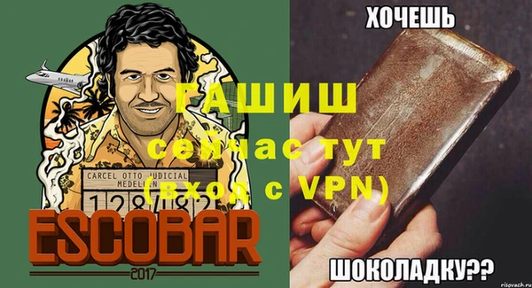 прущие грибы Новодвинск
