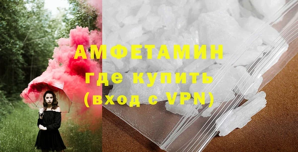 молекула духа Новозыбков