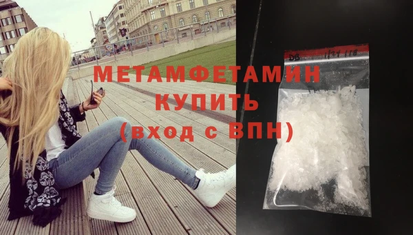 прущие грибы Новодвинск