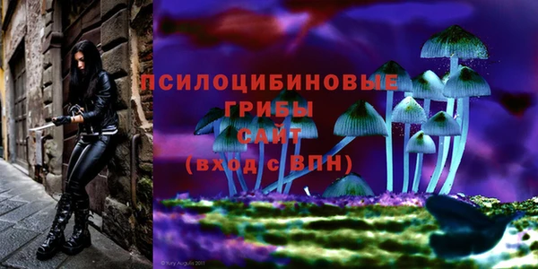 молекула духа Новозыбков