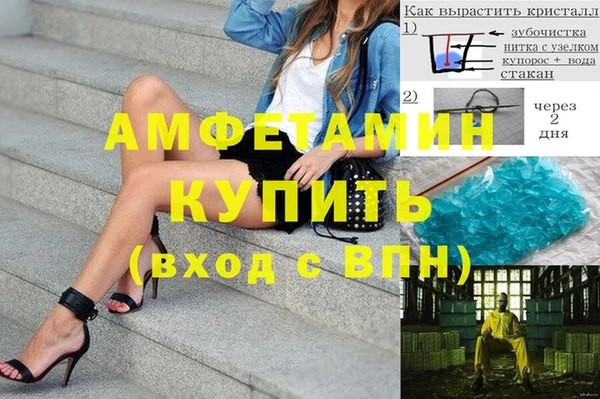 молекула духа Новозыбков