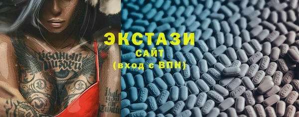 прущие грибы Новодвинск