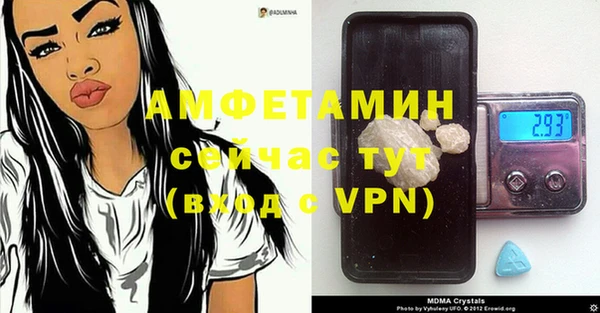 прущие грибы Новодвинск