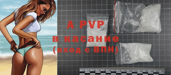 прущие грибы Новодвинск