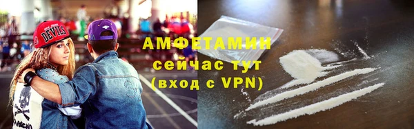 молекула духа Новозыбков