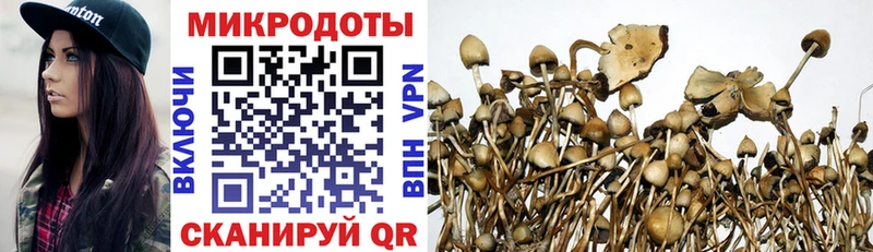Псилоцибиновые грибы MAGIC MUSHROOMS  Купить закладки  Туймазы 